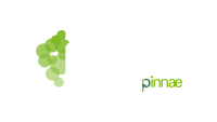 MUSiCVEU FESTIVAL