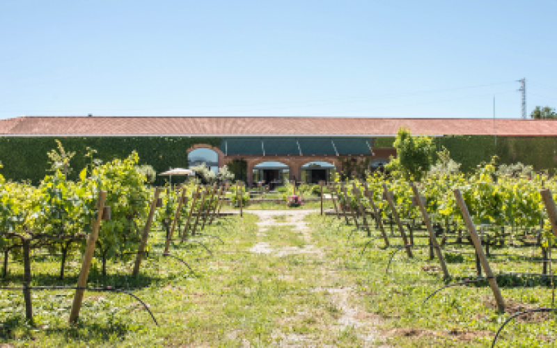 Centre de Visites – Família Torres